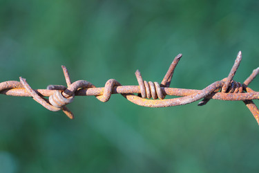 Similar image 793716