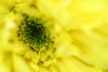 Similar image 793718