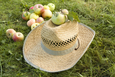 Similar image 793738