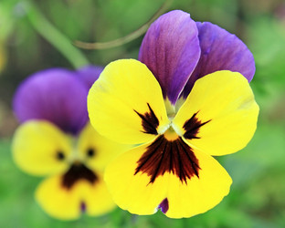 Similar image 793739