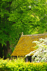 Similar image 793746