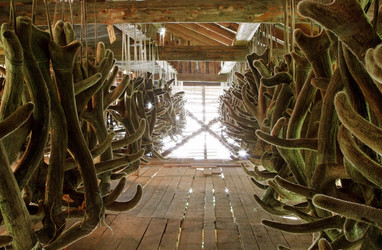 Similar image 793851