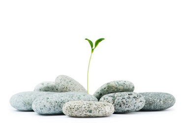 Similar image 793910