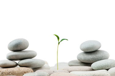 Similar image 793921