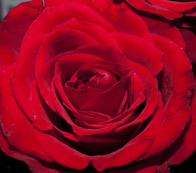 Similar image 793931