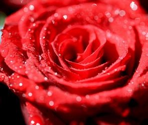 Similar image 793933