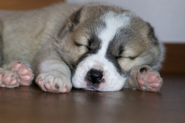 Similar image 793936