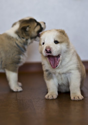 Similar image 793937