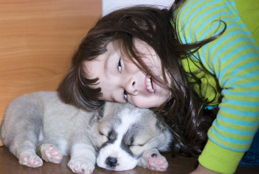 Similar image 793939