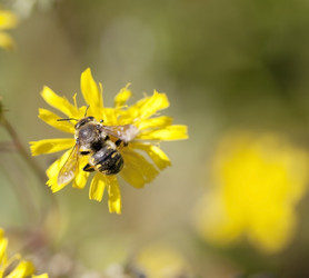 Similar image 793985