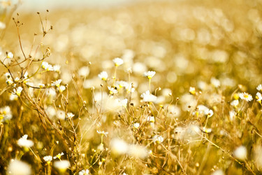 Similar image 794020