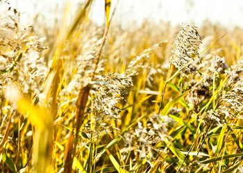 Similar image 794021