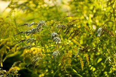 Similar image 794022