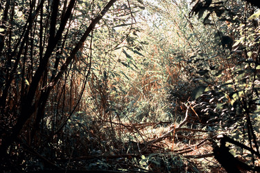 Similar image 794023