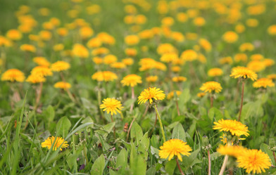 Similar image 794024