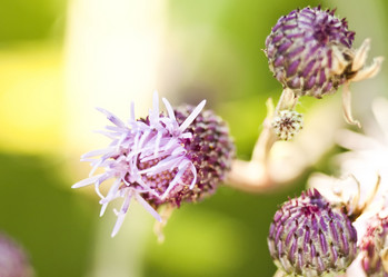 Similar image 794025