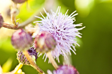 Similar image 794026