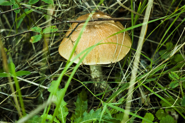 Similar image 794028