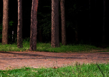 Similar image 794039