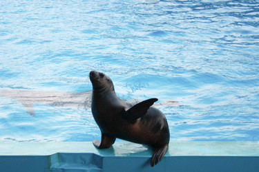 Similar image 794042