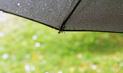 Similar image 794063