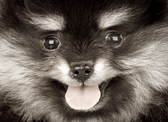 Similar image 794096