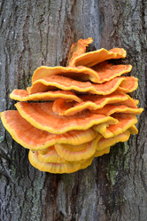 Similar image 794100