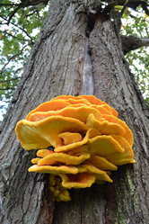 Similar image 794101