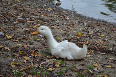 Similar image 794120