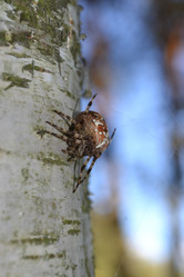 Similar image 794143