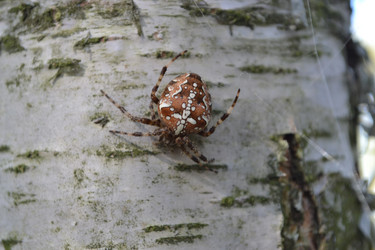 Similar image 794144