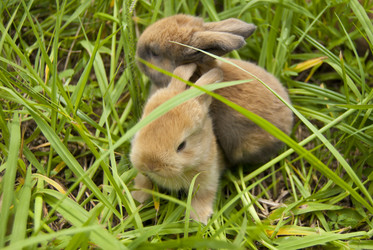 Similar image 794159