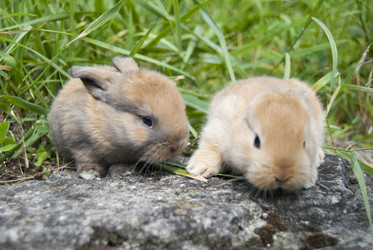 Similar image 794160