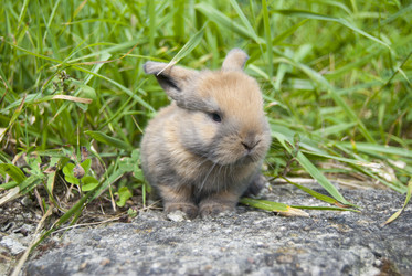 Similar image 794161