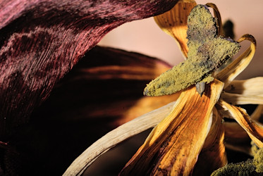 Similar image 794166