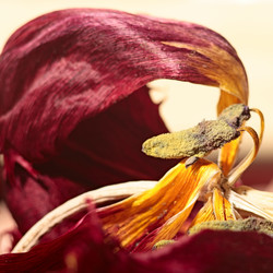 Similar image 794167