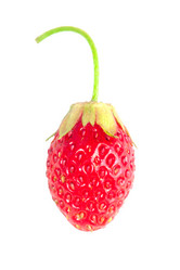 Similar image 794187