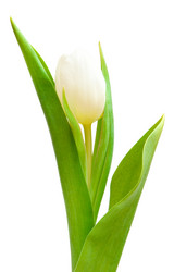 Similar image 794189