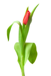 Similar image 794190