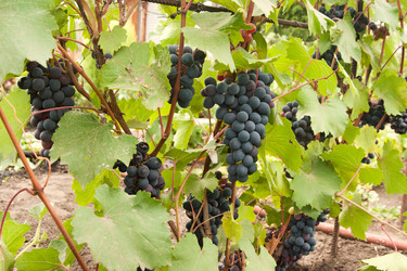 Similar image 794199