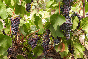 Similar image 794201