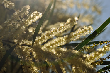 Similar image 794216