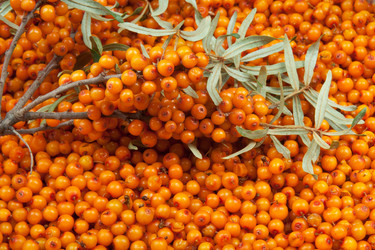 Similar image 794222