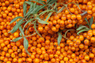 Similar image 794223