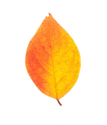 Similar image 794229