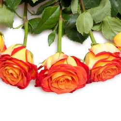 Similar image 794230