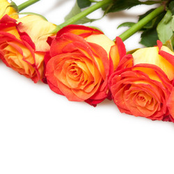 Similar image 794231