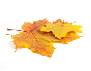 Similar image 794240