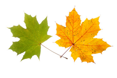 Similar image 794241