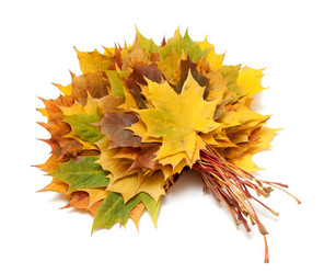 Similar image 794242